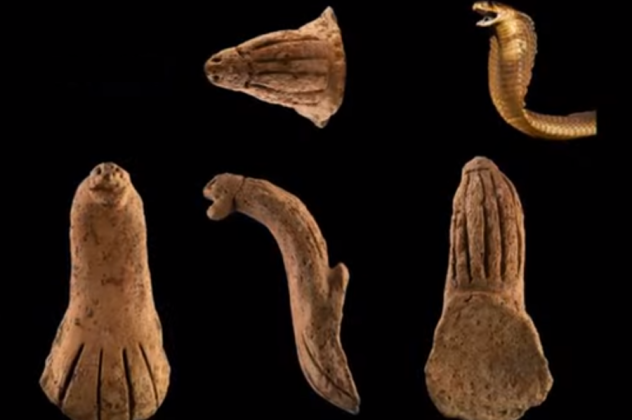 Το κεφάλι της Κόμπρα: Το 4.400 ετών χειροποίητο αντικείμενο σε σχήμα φιδιού - Τα σκοτεινά μυστικά, οι αρχαίες τελετές (βίντεο) - Κυρίως Φωτογραφία - Gallery - Video