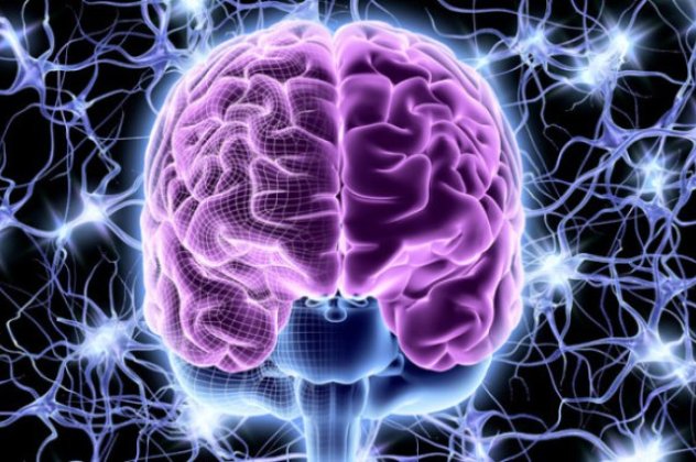 Ερευνητές βρήκαν τον διακόπτη on/off στον εγκέφαλο για την ανθρώπινη συνείδηση‏! - Κυρίως Φωτογραφία - Gallery - Video