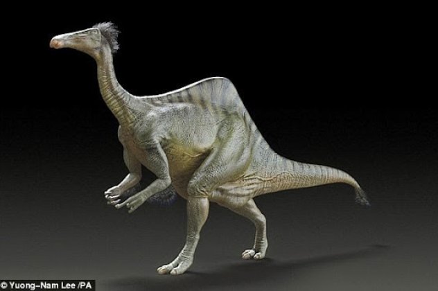 Δεινόχειρας: Ένας από τους μεγαλύτερους και πιο παράξενους ανατομικά δεινοσαύρους - Ήταν φοβερός και τρομερός με 11 μέτρα μήκος, βάρος 6,4 τόνους και χέρια που τα χρησιμοποιούσε σαν άνθρωπος! (φωτό &  - Κυρίως Φωτογραφία - Gallery - Video