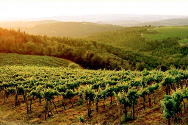Οι top περιοχές παραγωγής κρασιού παγκοσμίως! - Κυρίως Φωτογραφία - Gallery - Video