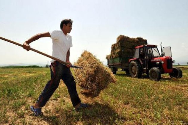 12,1 εκ. ευρώ αποζημιώσεις παίρνουν αύριο 10.523 αγρότες‏ - Κυρίως Φωτογραφία - Gallery - Video