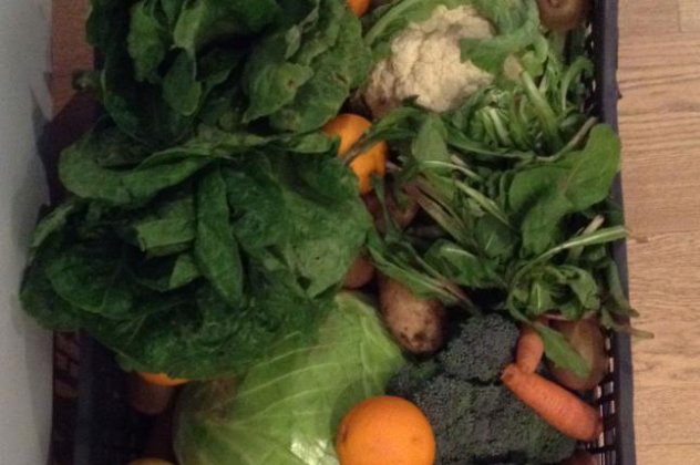 Να το καλάθι με λαχανικά και φρούτα που έρχονται σπίτι σας από το www.gineagrotis.gr - Super! (φωτό) - Κυρίως Φωτογραφία - Gallery - Video
