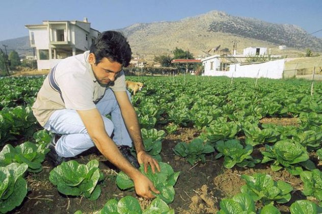 45 εκατ. ευρώ τον χρόνο σε νέους αγρότες από το 2015 - Έως το 2020!‏ - Κυρίως Φωτογραφία - Gallery - Video