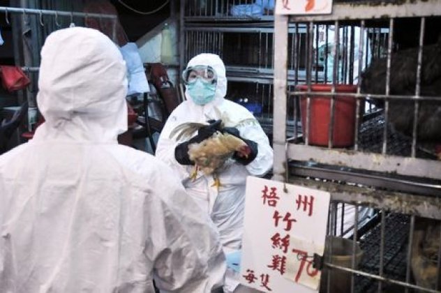 Εφιάλτης από την Κίνα: Μάθετε όσα χρειάζεστε για να αντιμετωπίσετε τη γρίπη‏! - Κυρίως Φωτογραφία - Gallery - Video