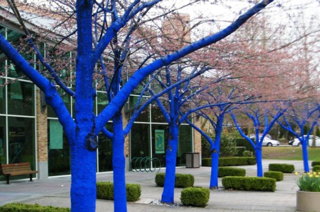 Τα δέντρα στις πόλεις… βάφονται μπλε! (εικόνες) - Κυρίως Φωτογραφία - Gallery - Video