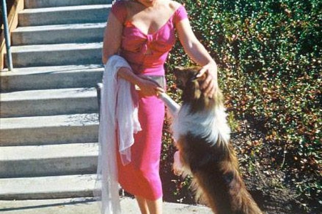 Φωτογραφία ρετρό της ημέρας: Όταν η Μέριλυν συνάντησε την Lassie - Κυρίως Φωτογραφία - Gallery - Video