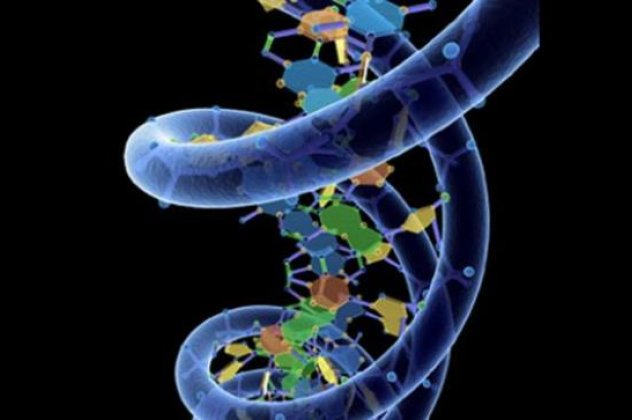 Βιολογικό «ρολόι» DNA μετρά την ηλικία των εσωτερικών οργάνων του σώματος! - Κυρίως Φωτογραφία - Gallery - Video