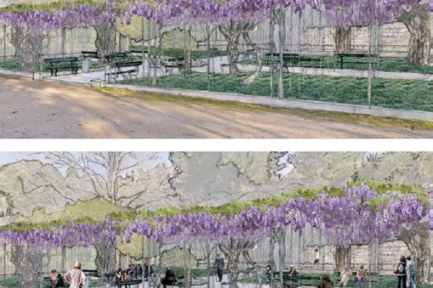 Δείτε το «πριν» και το «μετά» την ανάπλαση του Εθνικού κήπου σε μοναδικές εικόνες!  - Κυρίως Φωτογραφία - Gallery - Video