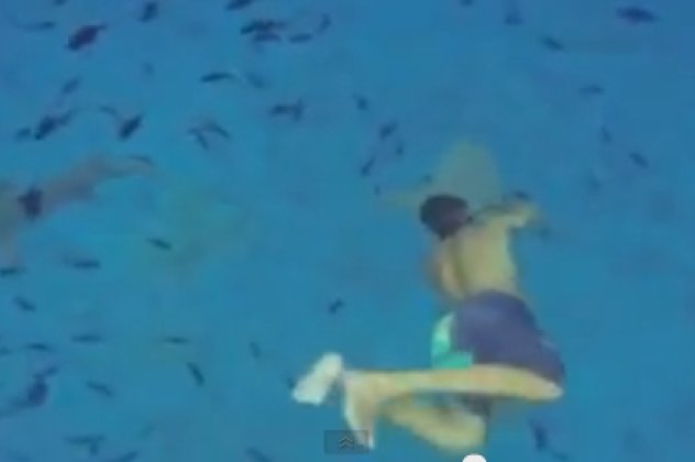 Απερισκεψία ή τόλμη - Δείτε στο βίντεο έναν τουριστά στο νησί Μπόρα - Μπόρα να παίρνει αγκαλιά έναν καρχαρία μέσα στο νερό! (βίντεο) - Κυρίως Φωτογραφία - Gallery - Video