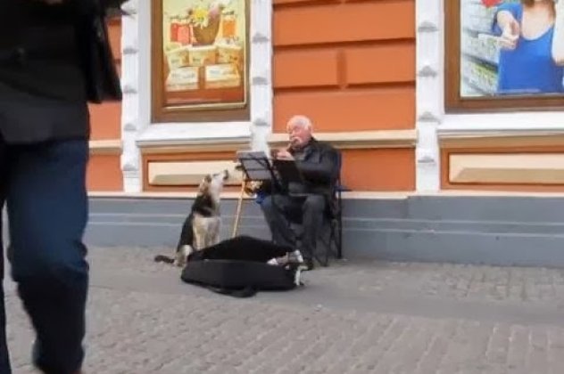 Χαχαχα - Πλανόδιος μουσικός πλούτισε στην κυριολεξία όταν ένας σκύλος κάθισε δίπλα του και... τραγουδούσε! (βίντεο) - Κυρίως Φωτογραφία - Gallery - Video
