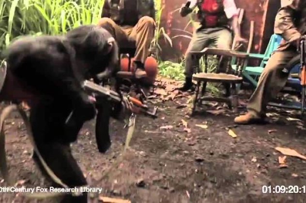 Τρεχάτε ποδαράκια μου - Δείτε τι έπαθαν στρατιώτες στην Αφρική που κορόιδευαν μία μαϊμού - Ήταν να μην πιάσει όπλο στα χέρια της! (βίντεο) - Κυρίως Φωτογραφία - Gallery - Video