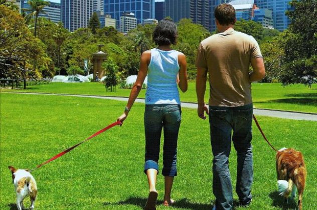 Τρέξτε μαζί του, βγείτε μία βόλτα - 5 διασκεδαστικά πράγματα που μπορείς να κάνεις με τον σκύλο σου! - Κυρίως Φωτογραφία - Gallery - Video