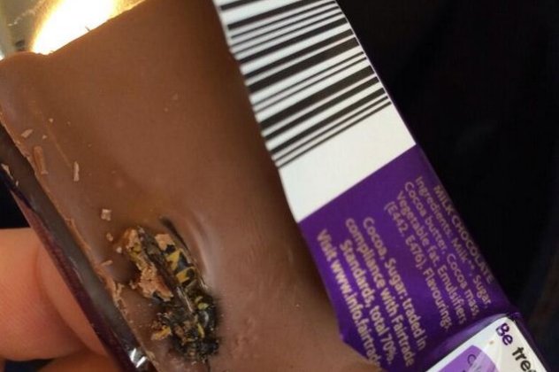 Πω πω είπε η Cadbury όταν χρήστης του Twitter ανέβασε φωτογραφία με μια σφήκα σφηνωμένη στην δημοφιλή σοκολάτα!  - Κυρίως Φωτογραφία - Gallery - Video