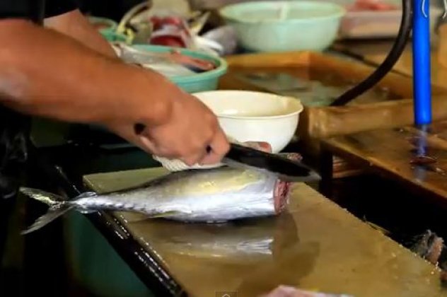 Ξέρεις από σούσι;;; Παρακολουθείστε φιλετάρισμα ψαριού σε χρόνο μηδέν από τον μαιτρ του είδους! - Κυρίως Φωτογραφία - Gallery - Video