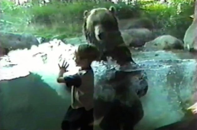 Τι γλυκό: Δείτε το παιχνίδι ενός παιδιού με μια αρκούδα σε ζωολογικό κήπο! Σαν δυο καλοί φίλοι! (βίντεο) - Κυρίως Φωτογραφία - Gallery - Video
