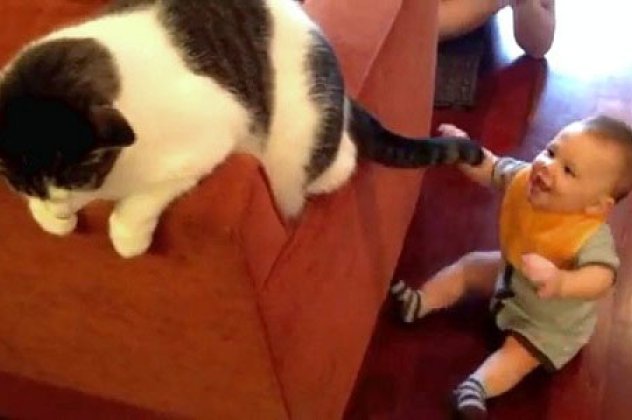 Cute video: το μωρό παίζει με την ουρά της γάτας!Smile its the end of the year! - Κυρίως Φωτογραφία - Gallery - Video