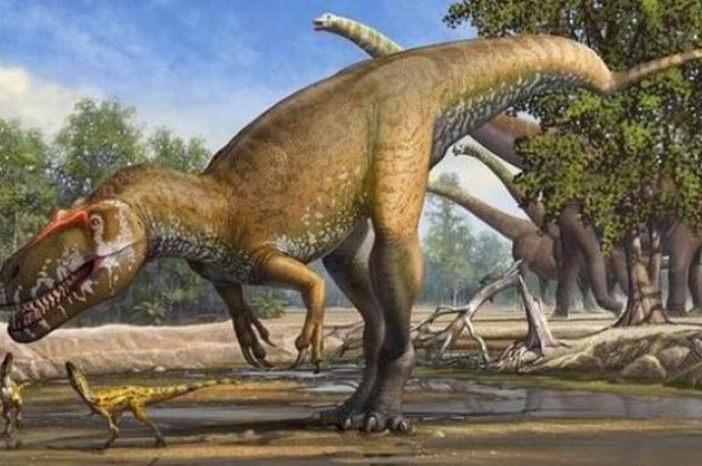 Torvosaurus gurneyi - Αυτός ήταν ο πιο φονικός δεινόσαυρος της Ευρώπης - Ανακαλύφθηκαν τα απολιθώματα του στην Πορτογαλία! (φωτό) - Κυρίως Φωτογραφία - Gallery - Video