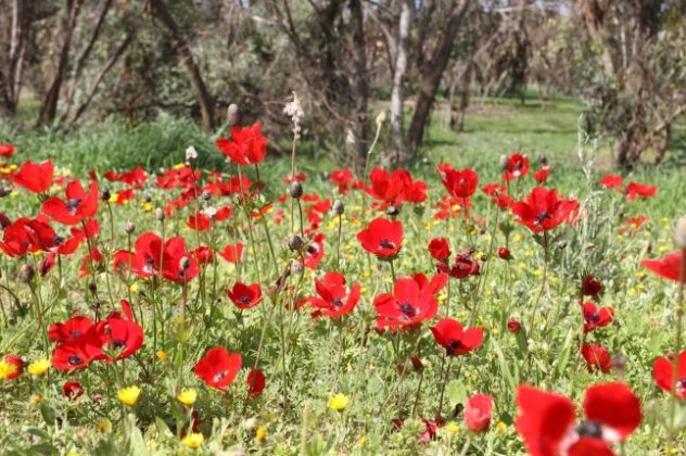 Αισθητή βελτίωση θα παρουσιάσει ο καιρός από σήμερα - Επιτέλους θα μαζέψουμε τα χειμωνιάτικα! Δείτε αναλυτικά την πρόγνωση του καιρού για το Σάββατο (βίντεο) - Κυρίως Φωτογραφία - Gallery - Video