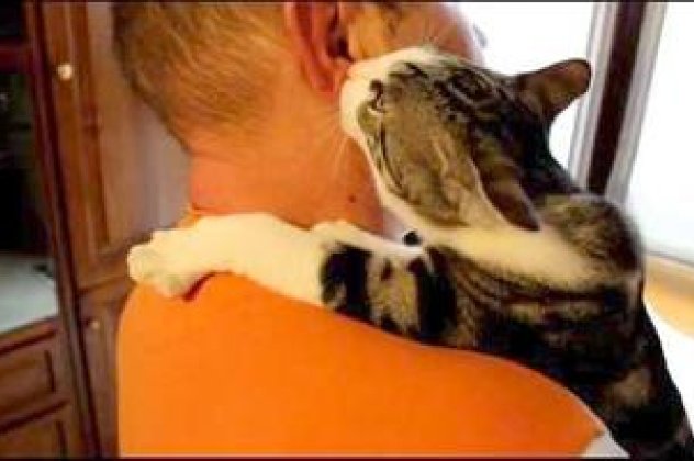 Άντε καλημέρα με ένα γατί τοοόσο γλυκό που γλείφει το αυτί του αφεντικού του! Τέλειο βίντεο για χαλάρωση! (βίντεο)  - Κυρίως Φωτογραφία - Gallery - Video