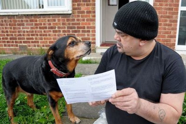 Smileeee!! Ένας σκύλος ροτβάιλερ έχει εκλογικό βιβλιάριο, ψηφίζει στις Ευρωεκλογές και ονομάζεται Ζευς! (φωτό) - Κυρίως Φωτογραφία - Gallery - Video