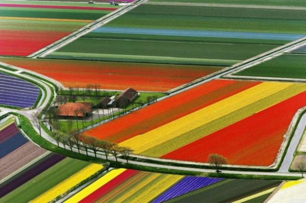 Καλημέραααα - Πάμε να ταξιδέψουμε και να ανακαλύψουμε τις πιο λουλουδένιες γειτονιές του πλανήτη γεμάτες χρώματα - Από την Προβηγκία την Τοσκάνη και το Γκρας στην Ολλανδία και την Ιαπωνία! (Φωτό)  - Κυρίως Φωτογραφία - Gallery - Video