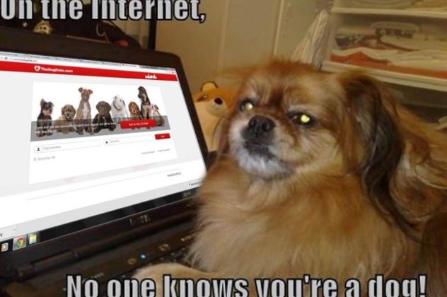 Αποκλειστικό: Good News: Το Facebook των σκύλων είναι εδώ! Γνωρίστε το thedogdate, το πρώτο Site Κοινωνικής Δικτύωσης για τον καλύτερο φίλο του ανθρώπου! (φωτό & βίντεο) - Κυρίως Φωτογραφία - Gallery - Video