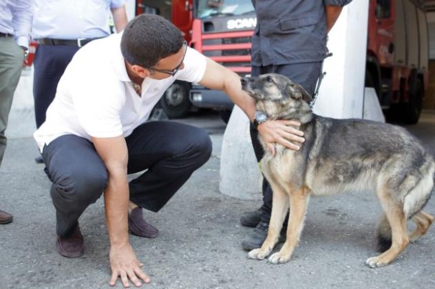 Κακοποιείς ζώα; Πλήρωνε 20.000 ευρώ-Αυστηροποίηση των ποινών ζητά ο Β. Κικίλιας από τον Χαράλαμπο Αθανασίου - Κυρίως Φωτογραφία - Gallery - Video