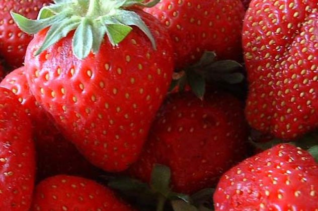 Οι φράουλες κάνουν καλό στην οστεοαρθρίτιδα!! - Κυρίως Φωτογραφία - Gallery - Video
