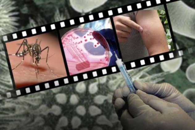 16 περιοχές επικίνδυνες για τον ιό του Νείλου - 40 τα κρούσματα μέχρι στιγμής - Κυρίως Φωτογραφία - Gallery - Video