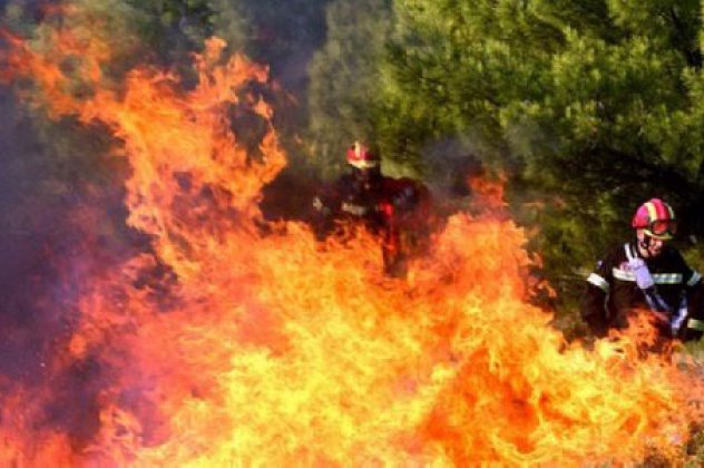 Την Tετάρτη η απολογία του 24χρονου βοσκού, εμπρηστή της Χίου - Κυρίως Φωτογραφία - Gallery - Video