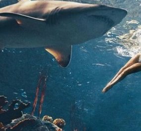 Στα βαθιά βουτάει η Ριάνα παρέα με καρχαρίες για το Harper's Bazaar! Δείτε το τρομακτικό βίντεο!