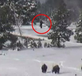 Αληθινό ή fake; Ο Μεγαλοπόδαρος on camera στο Εθνικό Πάρκο Yellowstone! (βίντεο)