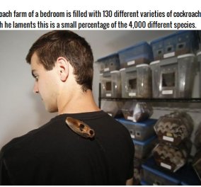 Story of the day: Αυτός ο νεαρός έχει 200.000 κατσαρίδες μέσα στο υπνοδωμάτιο του! (Φωτό)