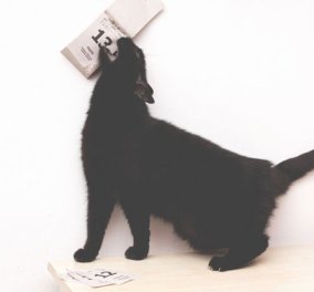 Οι 13 προλήψεις: Φέρνουν κακοτυχία με την μαύρη γάτα αρχηγό & τον καθρέπτη να σέρνει την παράδοση! (φωτό)
