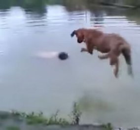To video της ημέρας: Ένας άνδρας πνίγεται & ο σκύλος του ορμάει να τον σώσει! 