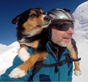 Βίντεο: Ο δεινός σκιερ παίρνει στην πλάτη του τον αγαπημένο του σκύλο και γλιστράει στο χιόνι....