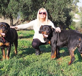 Στο νοσοκομείο η Στέλλα Μπεζαντάκου με 70 ράμματα - της επιτέθηκαν 4 σκυλιά ροτβάιλερ!