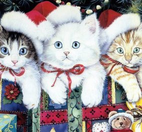 Smile: 6 γάτες ντύθηκαν κατάλληλα για τη γιορτή των Χριστουγέννων και είναι κατενθουσιασμένες! (βίντεο)