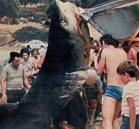Vintage Story: Όταν το 1951 καρχαρίας κατασπάραξε την 16χρονη Βάντα στην Κέρκυρα & τραυμάτισε τον φίλο της