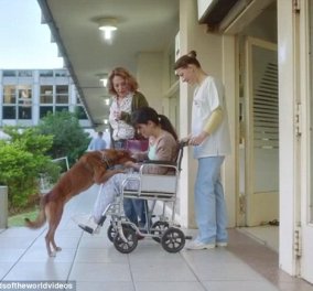 «The Man & The Dog» - Το συγκλονιστικό βίντεo για τη δωρεά οργάνων που έχει γίνει viral παγκοσμίως