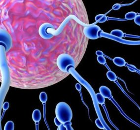 Σπερματοζωάρια στο εργαστήριο δημιούργησαν επιστήμονες: Ελπίδα για εκατομμύρια υπογόνιμους άνδρες‏