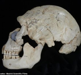 Vintage pic: Δείτε το κρανίο του πιο παλιού δολοφονημένου: 430.000 ετών - είναι το αρχαιότερο έγκλημα;
