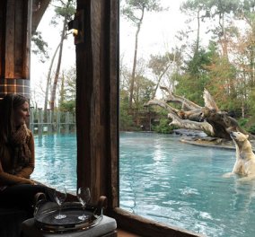 «Jamala Wildlife Lodge»: Το ξενοδοχείο που προσφέρει διαμονή δίπλα σε άγρια ζώα!