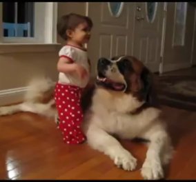 Smile: Σκυλιά και μωρά, μια σχέση στοργής - Δείτε το βίντεο με την μικρούλα που πέφτει στην αγκαλιά ενός Αγίου Βερνάρδου!