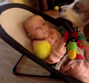 Το βίντεο της ημέρας: Ο σκύλος κλέβει το παιχνίδι του μωρού, το επιστρέφει & από τύψεις δείτε τι κάνει! Τέλειο! 