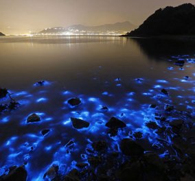 Απίστευτο: Ακτές στο Χονγκ Κονγκ φωσφορίζουν το βράδυ!