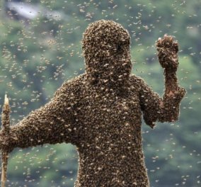 Story: Του επιτέθηκαν 50.000 μέλισσες, υπέστη χίλια τσιμπήματα - Κλείστηκαν όλοι στα σπίτια τους