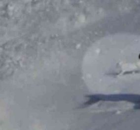 Βίντεο ημέρας: Λευκός λαγός γλυτώνει με ένα πήδημα από την χιονοστιβάδα snowboarder