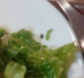 Θεσσαλονίκη: Φοιτητής βρήκε έντομο στην σαλάτα του - Αντιδράσεις για την ποιότητα του φαγητού που σερβίρεται στη λέσχη της σχολής 