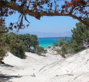Βίντεο - Με υποβρύχιο γύρισμα  στο παρθένο νησί Χρυσή της Κρήτης  η επιτομή του ελληνικού καλοκαιριού 